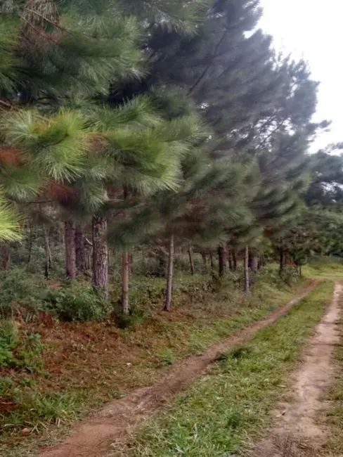 Terreno / Lote à venda, 1008m2 em Engenheiro Marsilac, São Paulo - SP - imagem 6 Foto 6 de Terreno / Lote à venda, 1008m2 em Engenheiro Marsilac, São Paulo - SP