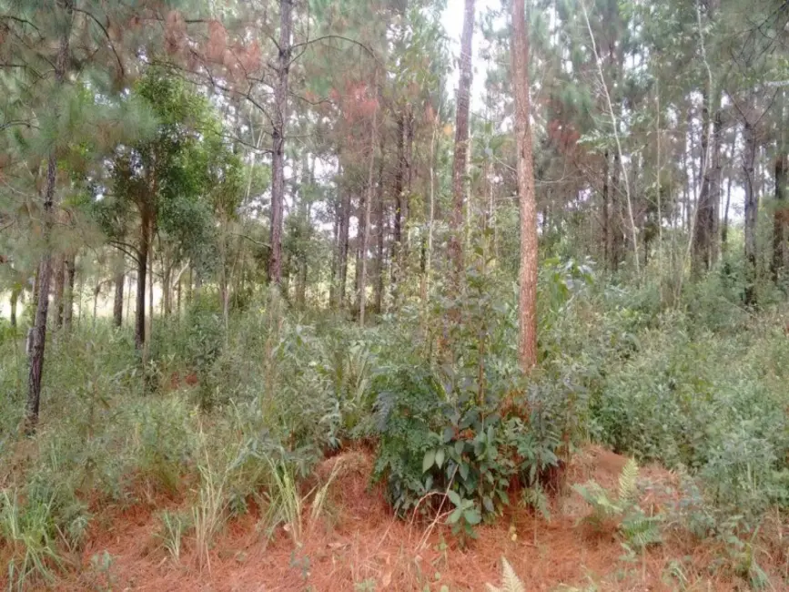 Foto 2 de Terreno / Lote à venda, 1008m2 em Engenheiro Marsilac, São Paulo - SP