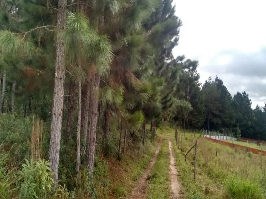 Terreno / Lote à venda, 1008m2 em Engenheiro Marsilac, São Paulo - SP - imagem 4 Foto 4 de Terreno / Lote à venda, 1008m2 em Engenheiro Marsilac, São Paulo - SP