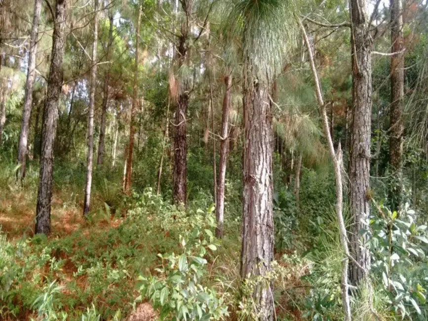 Terreno / Lote à venda, 1008m2 em Engenheiro Marsilac, São Paulo - SP - imagem 8 Foto 8 de Terreno / Lote à venda, 1008m2 em Engenheiro Marsilac, São Paulo - SP