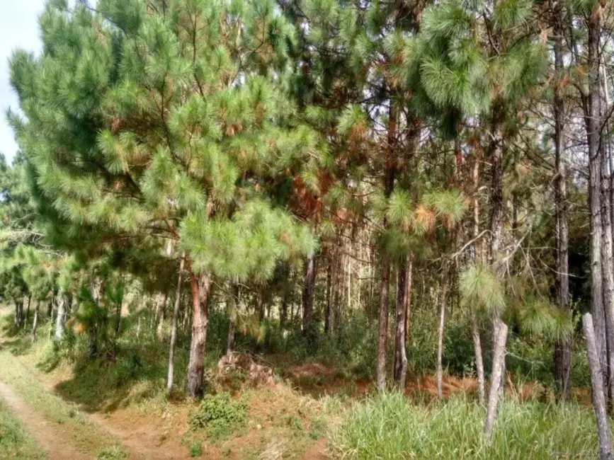 Terreno / Lote à venda, 1008m2 em Engenheiro Marsilac, São Paulo - SP - imagem 9 Foto 9 de Terreno / Lote à venda, 1008m2 em Engenheiro Marsilac, São Paulo - SP