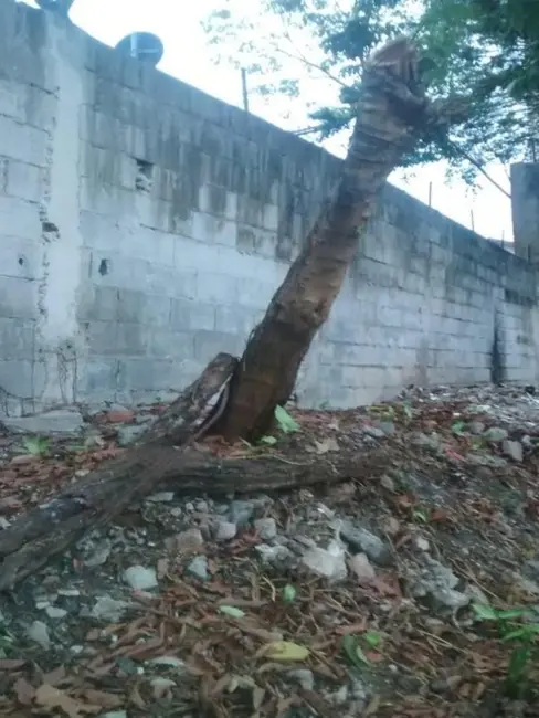 Foto 3 de Terreno / Lote à venda, 274m2 em Santana, São Paulo - SP