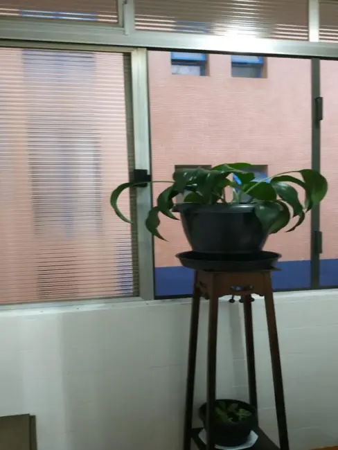 Apartamento com 3 quartos à venda, 71m2 em Vila Madalena, São Paulo - SP - imagem 9 Foto 9 de Apartamento com 3 quartos à venda, 71m2 em Vila Madalena, São Paulo - SP