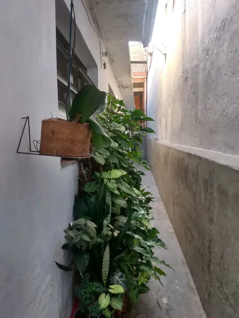 Foto 7 de Casa com 3 quartos à venda, 200m2 em Vila Alpina, São Paulo - SP