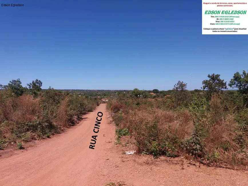 Terreno / Lote à venda, 192700m2 em Angelim, Teresina - PI - imagem 8 Foto 8 de Terreno / Lote à venda, 192700m2 em Angelim, Teresina - PI