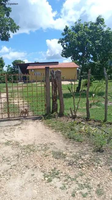 Sítio / Rancho com 2 quartos à venda, 20000m2 em Altos - PI - imagem 4 Foto 4 de Sítio / Rancho com 2 quartos à venda, 20000m2 em Altos - PI