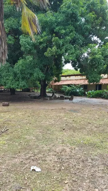 Foto 6 de Sítio / Rancho à venda, 420m2 em Nazaria - PI