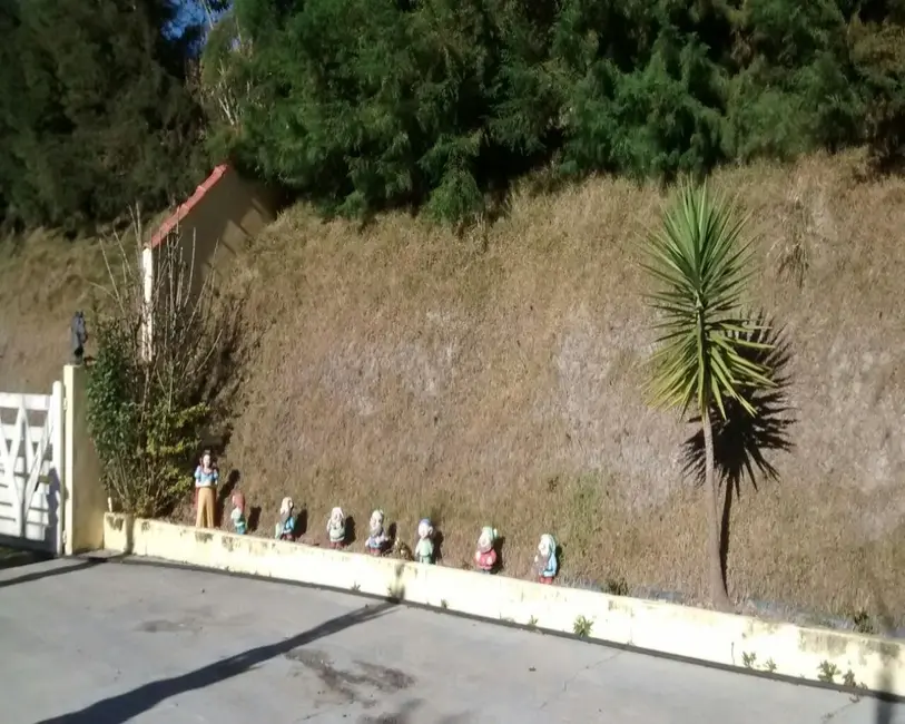 Foto 3 de Chácara com 4 quartos à venda, 300m2 em Centro, Natividade Da Serra - SP