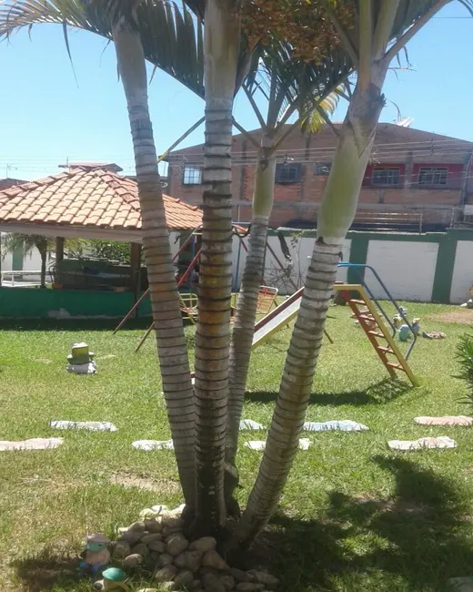 Foto 4 de Chácara com 5 quartos à venda, 235m2 em Tremembe - SP