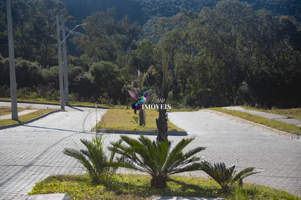 Terreno / Lote à venda, 187m2 em Planalto, Santana Do Livramento - RS - imagem 5 Foto 5 de Terreno / Lote à venda, 187m2 em Planalto, Santana Do Livramento - RS