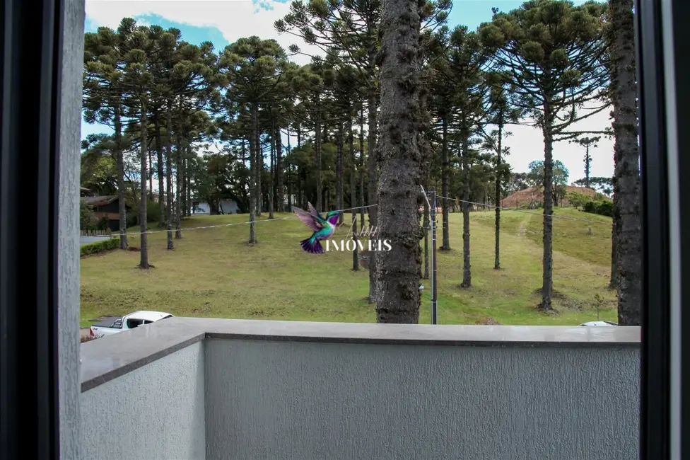 Casa com 4 quartos à venda, 412m2 em Centro, Canela - RS - imagem 8 Foto 8 de Casa com 4 quartos à venda, 412m2 em Centro, Canela - RS