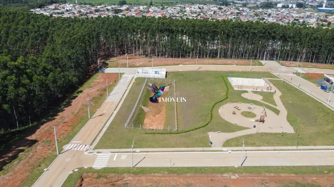 Terreno / Lote à venda, 230m2 em Guaiba - RS - imagem 9 Foto 9 de Terreno / Lote à venda, 230m2 em Guaiba - RS