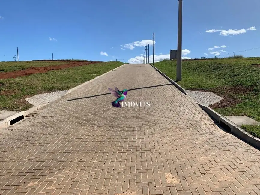 Terreno / Lote à venda, 230m2 em Guaiba - RS - imagem 3 Foto 3 de Terreno / Lote à venda, 230m2 em Guaiba - RS