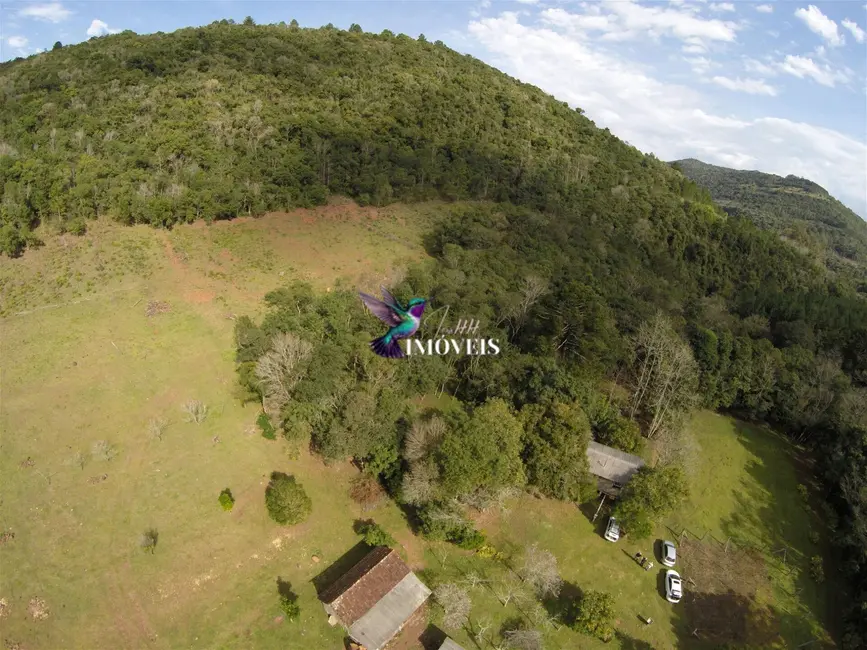 Foto 3 de Fazenda / Haras à venda, 2234000m2 em Gramado - RS