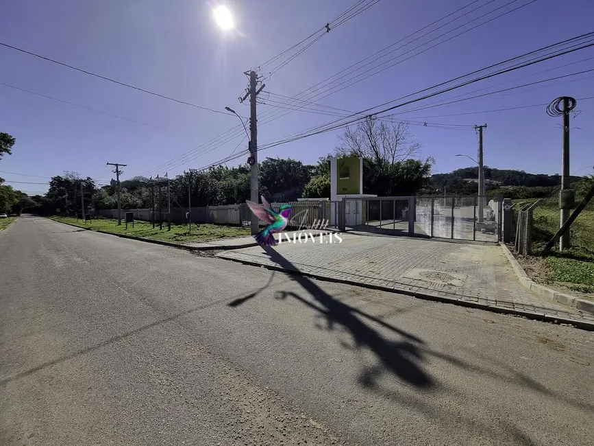 Terreno / Lote à venda, 115m2 em Petrópolis, Porto Alegre - RS - imagem 5 Foto 5 de Terreno / Lote à venda, 115m2 em Petrópolis, Porto Alegre - RS