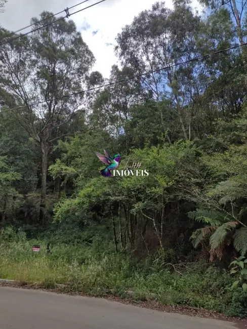 Foto 6 de Terreno / Lote à venda, 611m2 em Canela - RS