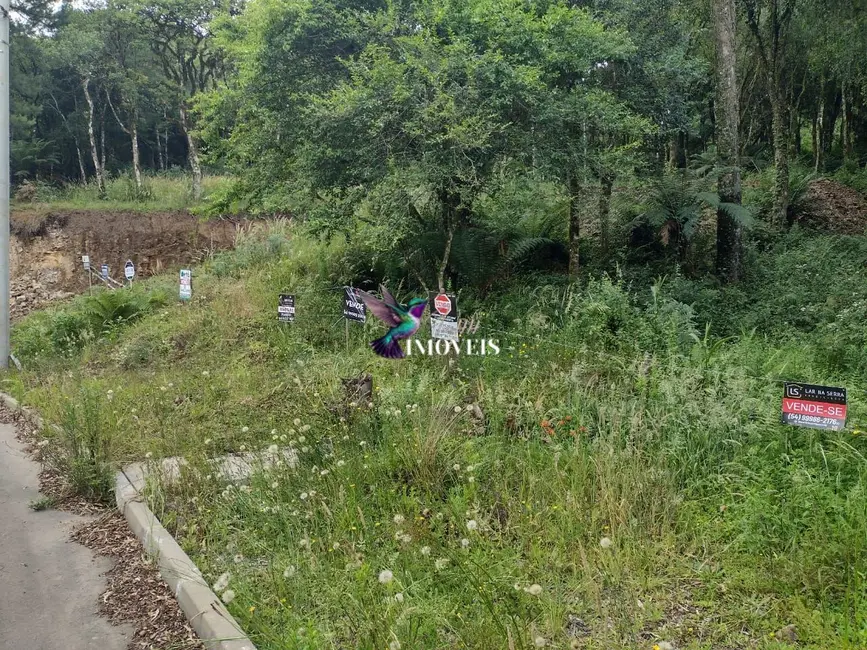 Foto 4 de Terreno / Lote à venda, 611m2 em Canela - RS
