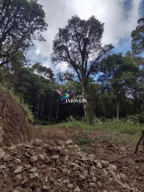 Foto 5 de Terreno / Lote à venda, 611m2 em Canela - RS