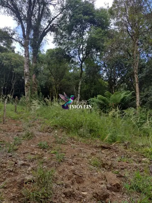 Foto 2 de Terreno / Lote à venda, 611m2 em Canela - RS