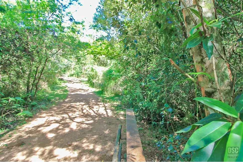 Foto 9 de Terreno / Lote à venda, 1563m2 em Aberta dos Morros, Porto Alegre - RS