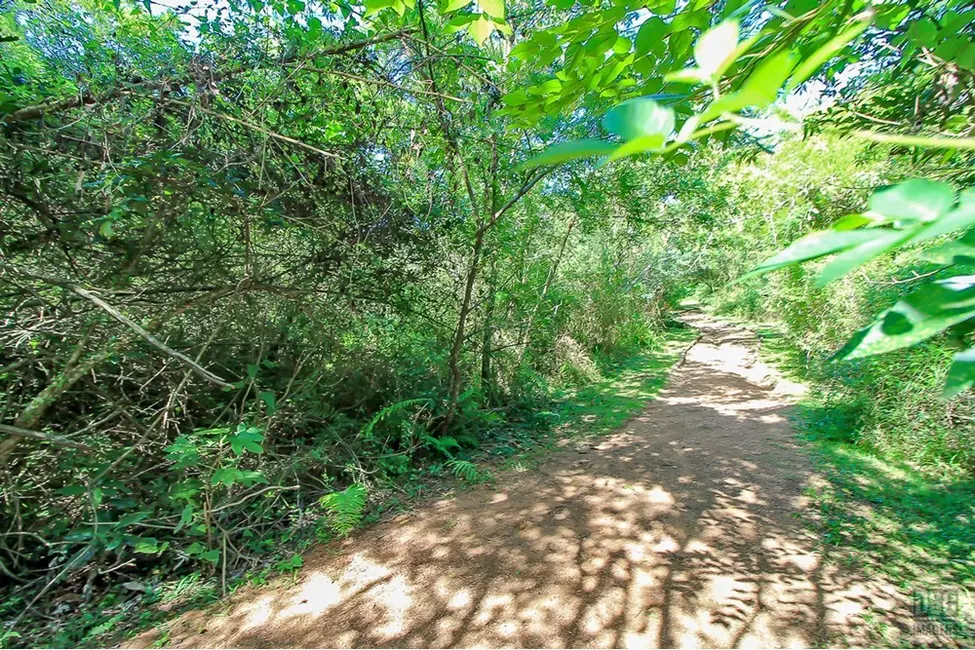 Foto 8 de Terreno / Lote à venda, 1563m2 em Aberta dos Morros, Porto Alegre - RS
