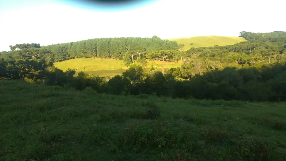 Foto 1 de Fazenda / Haras à venda, 425m2 em Caxias Do Sul - RS