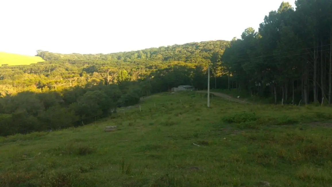 Foto 2 de Fazenda / Haras à venda, 425m2 em Caxias Do Sul - RS