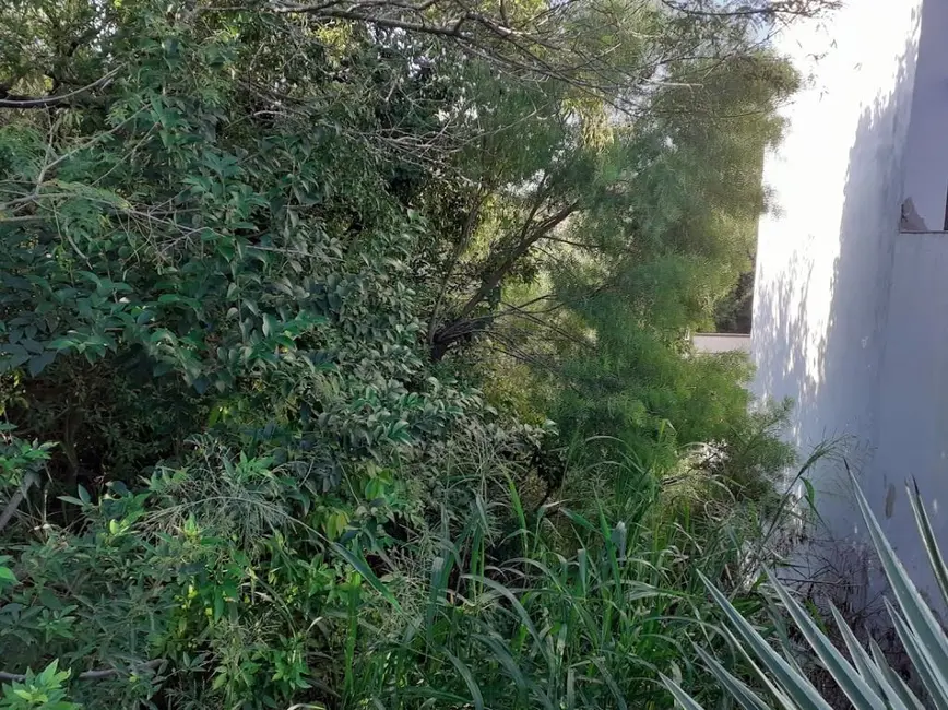 Foto 2 de Terreno / Lote à venda, 485m2 em Ipanema, Porto Alegre - RS