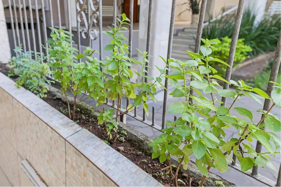 Foto 6 de Apartamento com 3 quartos à venda, 86m2 em Bom Fim, Porto Alegre - RS