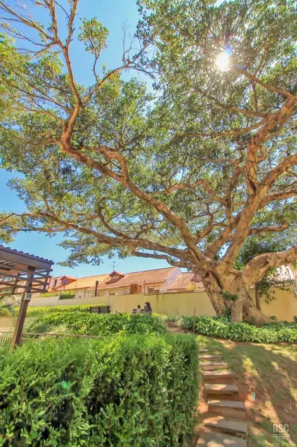 Apartamento com 3 quartos à venda, 90m2 em Ipanema, Porto Alegre - RS - imagem 8 Foto 8 de Apartamento com 3 quartos à venda, 90m2 em Ipanema, Porto Alegre - RS