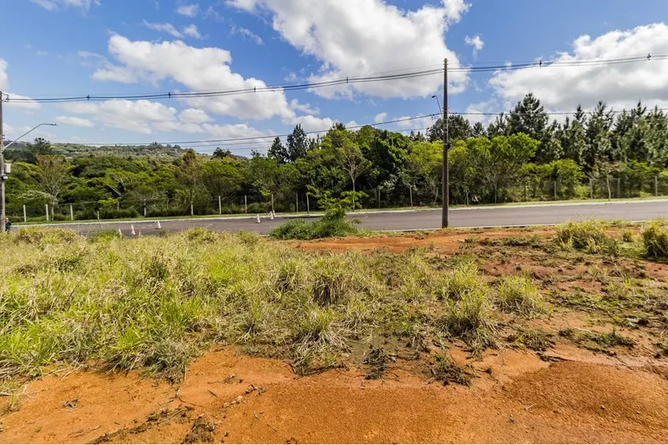 Foto 2 de Terreno / Lote à venda, 126m2 em Lomba do Pinheiro, Porto Alegre - RS