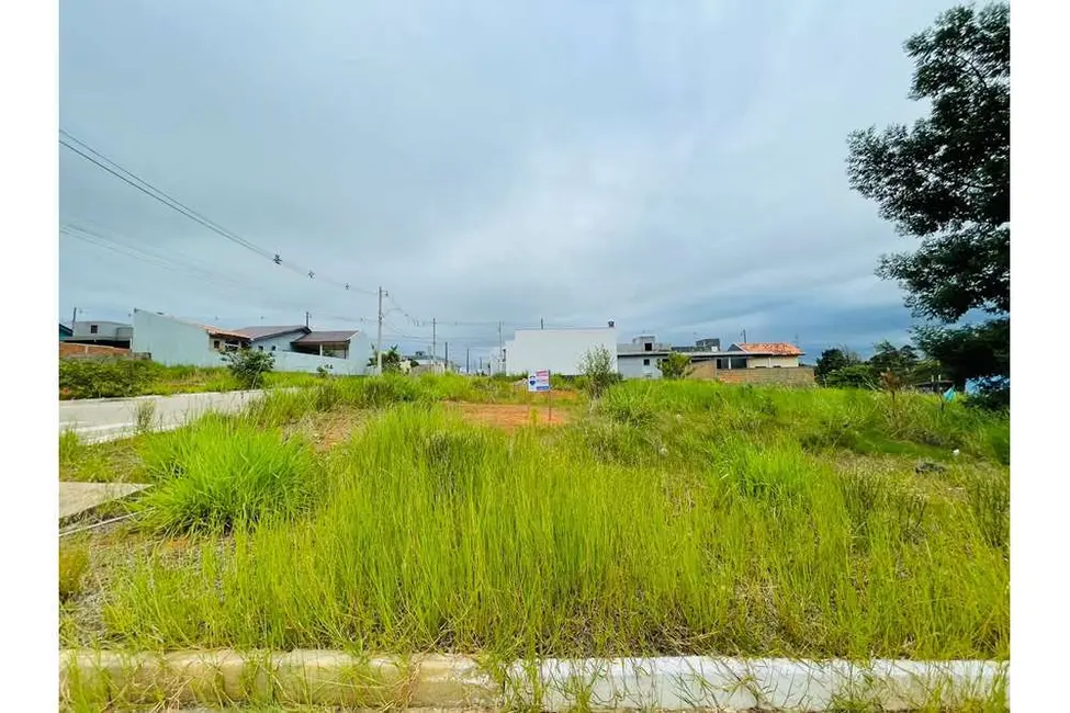 Foto 3 de Terreno / Lote à venda, 250m2 em Nova Santa Rita - RS