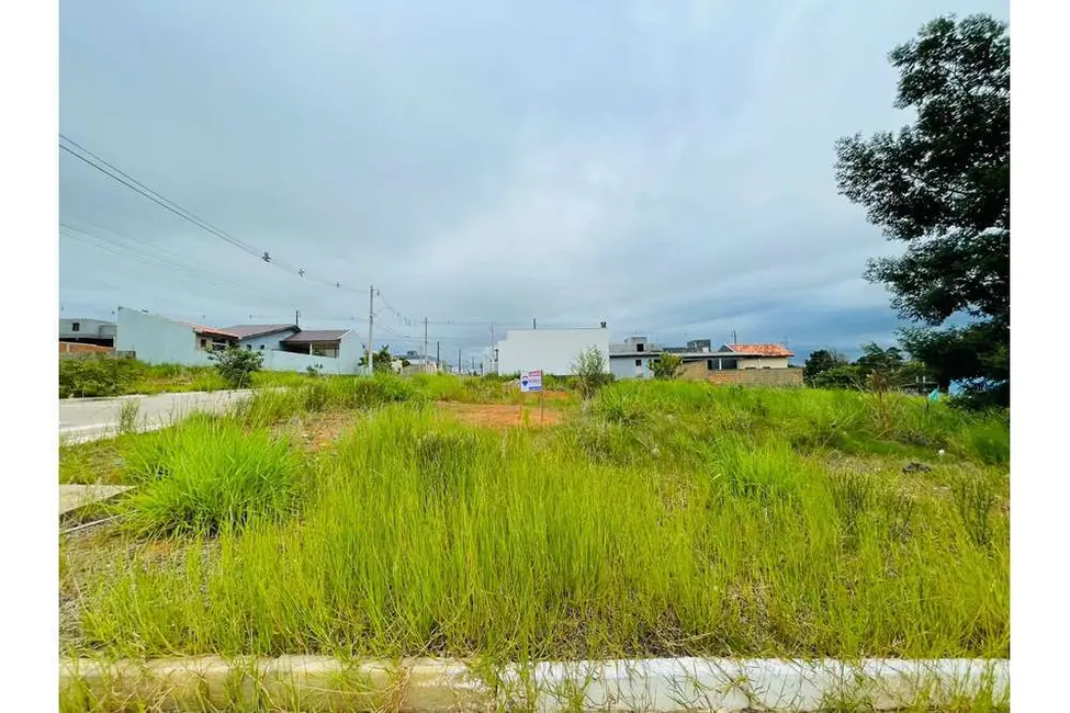 Foto 2 de Terreno / Lote à venda, 250m2 em Nova Santa Rita - RS