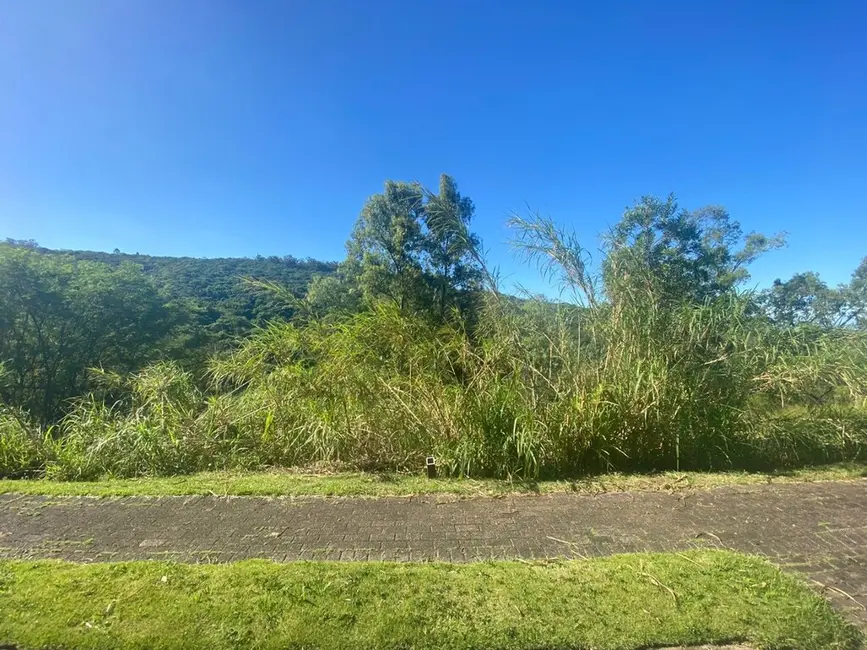 Foto 5 de Terreno / Lote à venda, 1005m2 em Santa Isabel, Viamao - RS