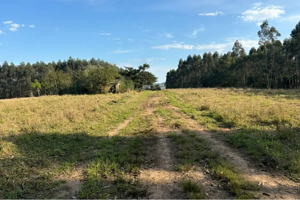 Foto 6 de Fazenda / Haras à venda, 562997m2 em Centro, Tapes - RS