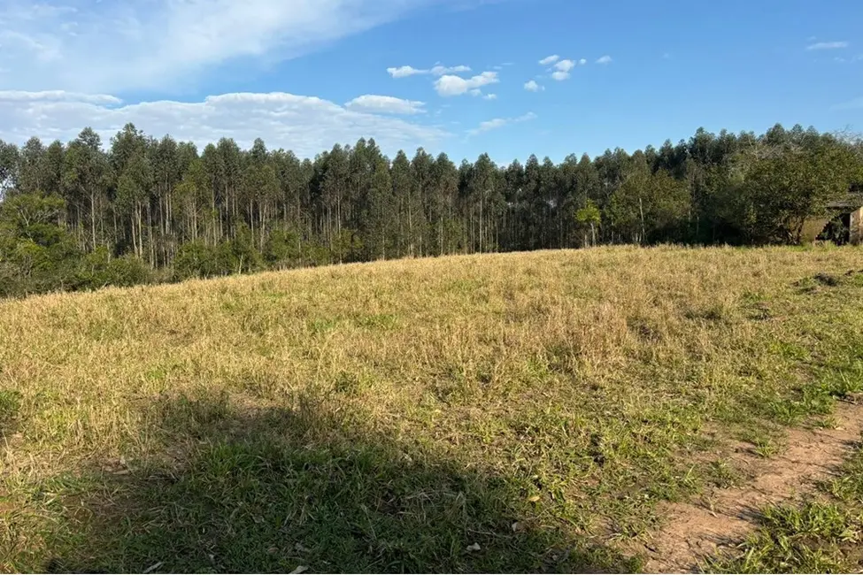 Foto 8 de Fazenda / Haras à venda, 562997m2 em Centro, Tapes - RS