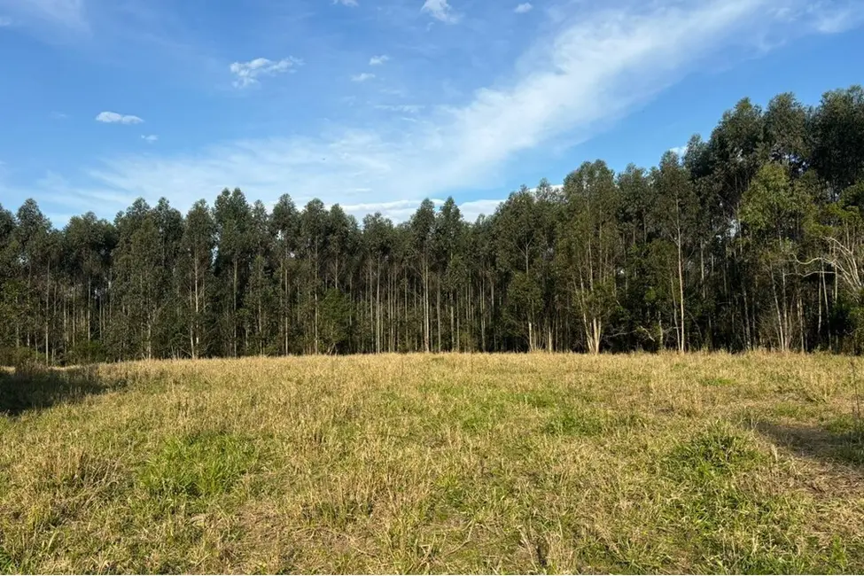 Foto 7 de Fazenda / Haras à venda, 562997m2 em Centro, Tapes - RS