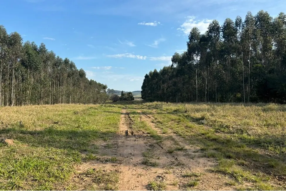 Foto 9 de Fazenda / Haras à venda, 562997m2 em Centro, Tapes - RS