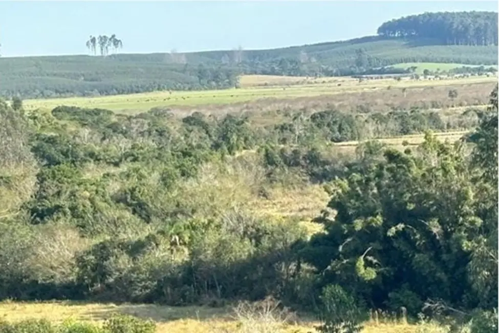 Foto 1 de Fazenda / Haras à venda, 562997m2 em Centro, Tapes - RS