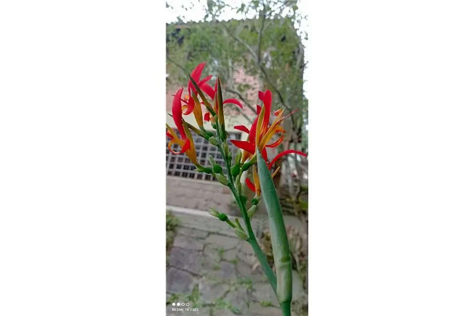 Foto 3 de Casa com 2 quartos à venda, 210m2 em Vila Nova, Porto Alegre - RS