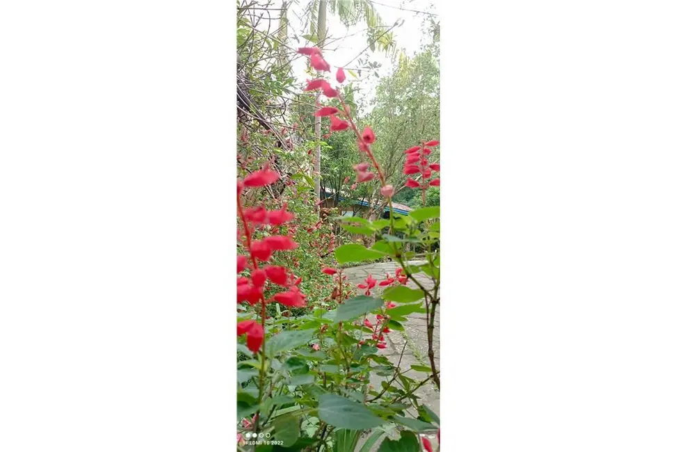 Foto 4 de Casa com 2 quartos à venda, 210m2 em Vila Nova, Porto Alegre - RS