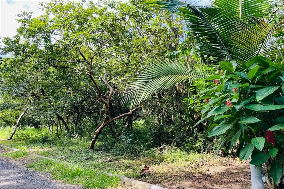 Foto 2 de Terreno / Lote à venda, 1075m2 em Centro, Nova Santa Rita - RS