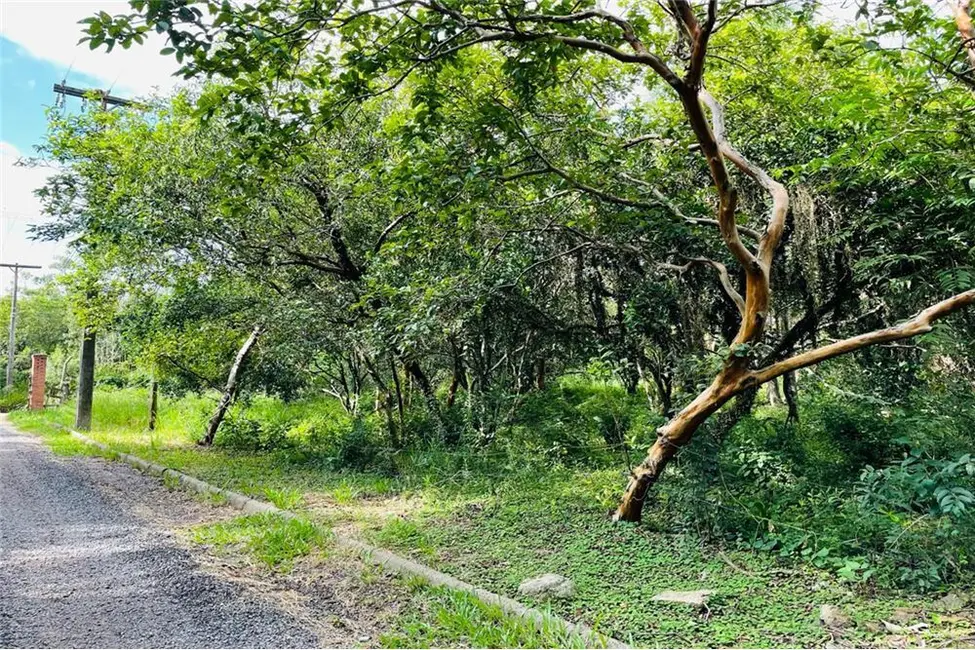 Foto 5 de Terreno / Lote à venda, 1075m2 em Centro, Nova Santa Rita - RS