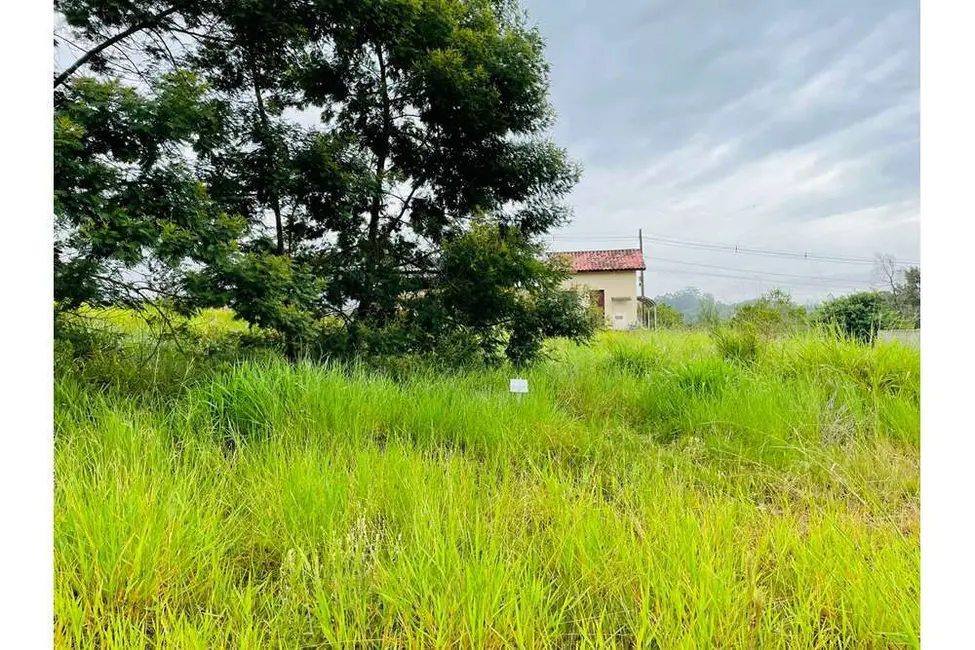 Foto 4 de Terreno / Lote à venda, 250m2 em Nova Santa Rita - RS