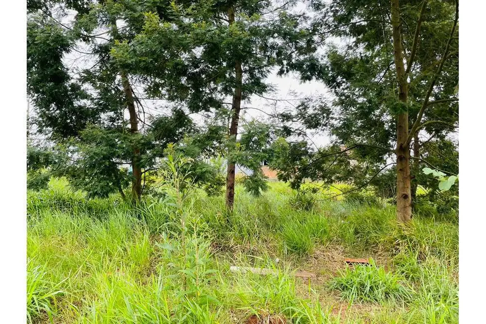 Foto 1 de Terreno / Lote à venda, 250m2 em Nova Santa Rita - RS