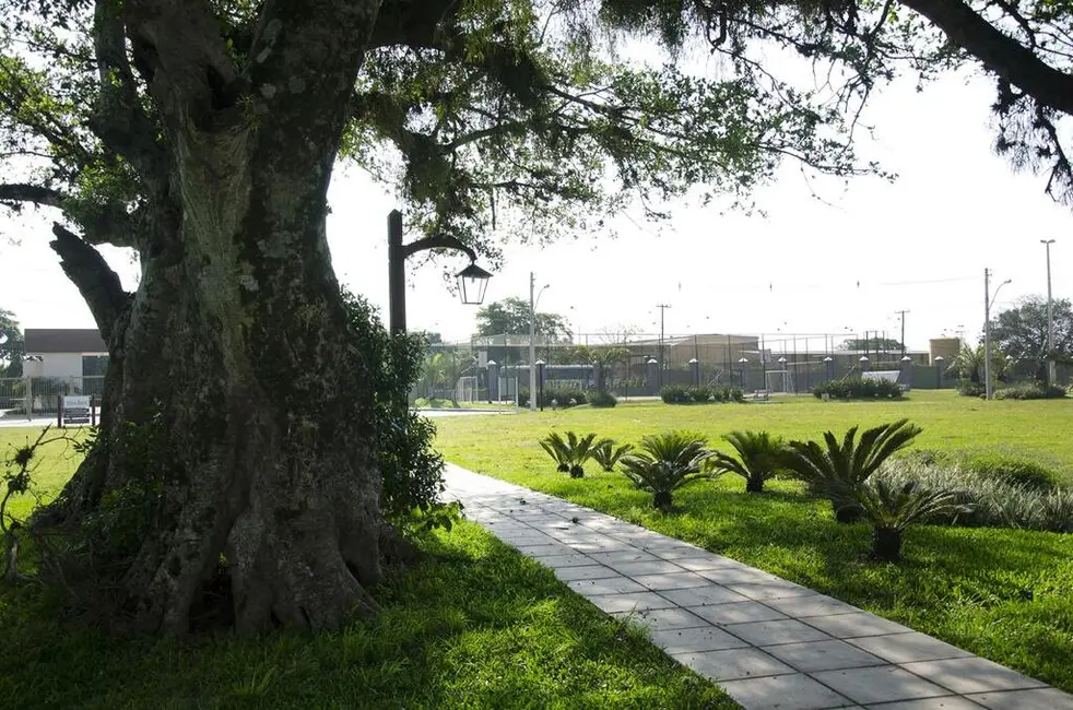 Foto 5 de Terreno / Lote à venda, 817m2 em Eldorado Do Sul - RS