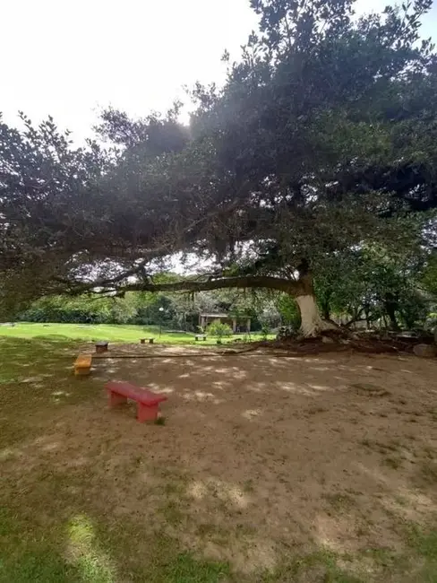 Foto 5 de Apartamento com 2 quartos à venda, 38m2 em Lomba do Pinheiro, Porto Alegre - RS