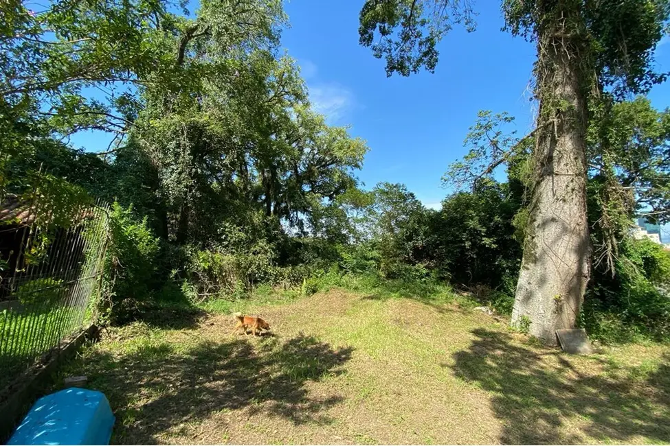 Foto 4 de Terreno / Lote à venda, 1400m2 em Cristal, Porto Alegre - RS