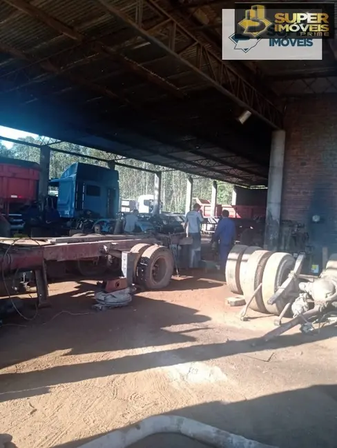 Terreno / Lote à venda, 40000m2 em Três Vendas, Pelotas - RS - imagem 6 Foto 6 de Terreno / Lote à venda, 40000m2 em Três Vendas, Pelotas - RS