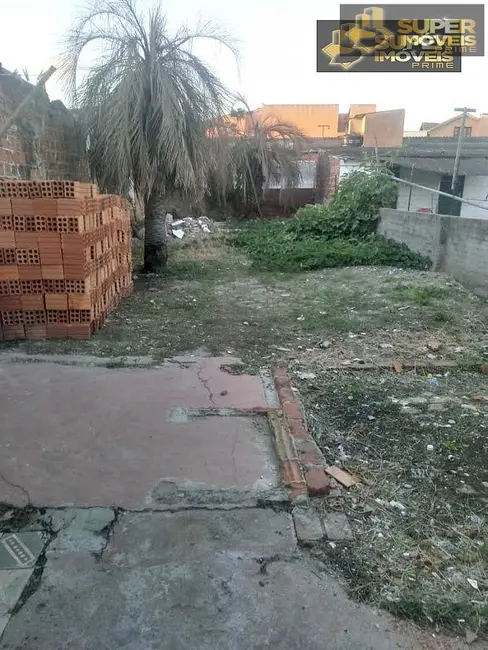 Casa com 3 quartos à venda, 270m2 em Fragata, Pelotas - RS - imagem 7 Foto 7 de Casa com 3 quartos à venda, 270m2 em Fragata, Pelotas - RS